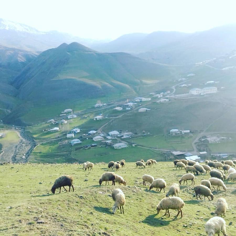 Xinaliq Elnur Guest House, New Hotel Exterior foto